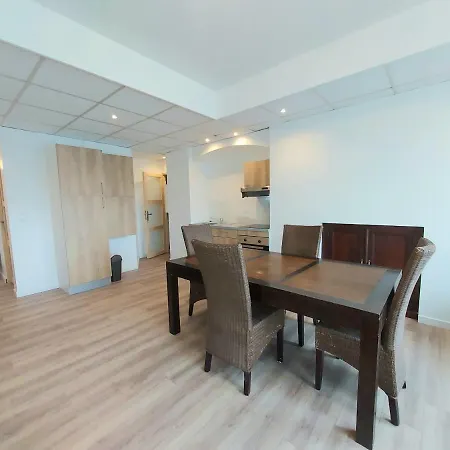 Appartement La Geode, Proche Navette Hivernale *